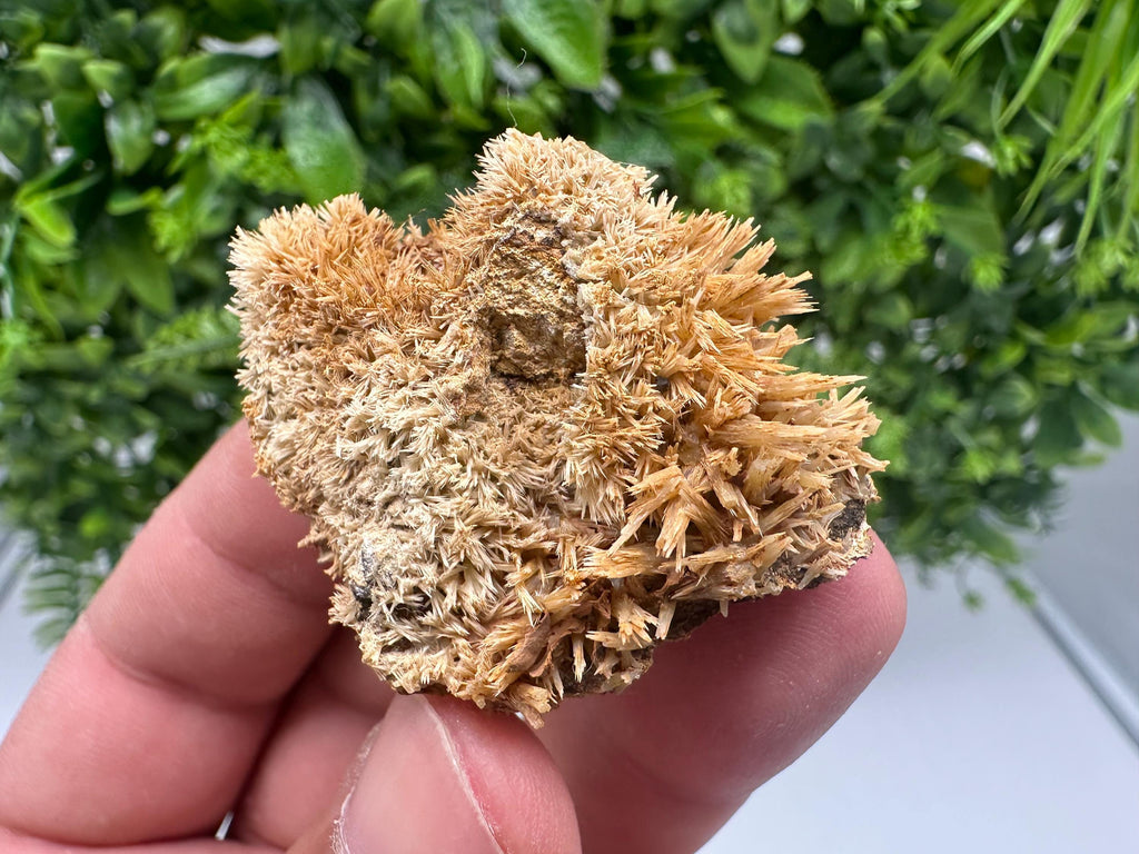 Rare Green/Yellow Pyromorphite with Hematite on Quartz - Madjarovo Mine, Bulgaria