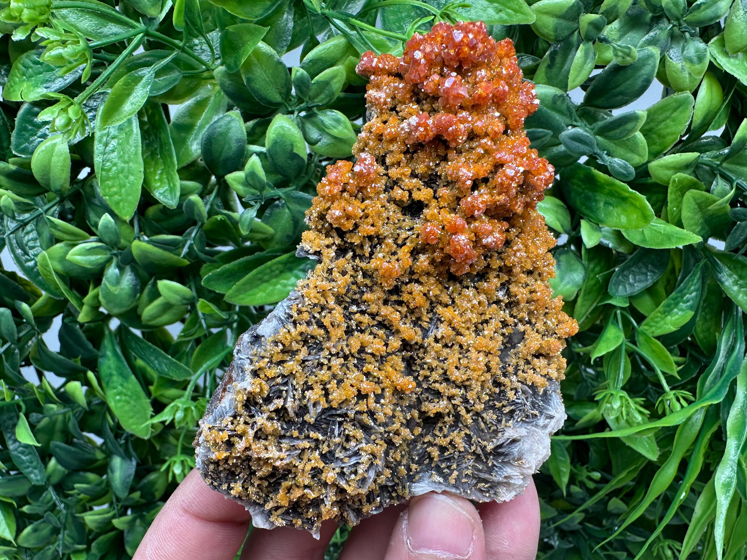 VERY Rare red Vanadinite on Barite whit Goethite from Marocco,crystal minerals Speciment cluster Vanadinite crystal Vanadinite Geology Vanad