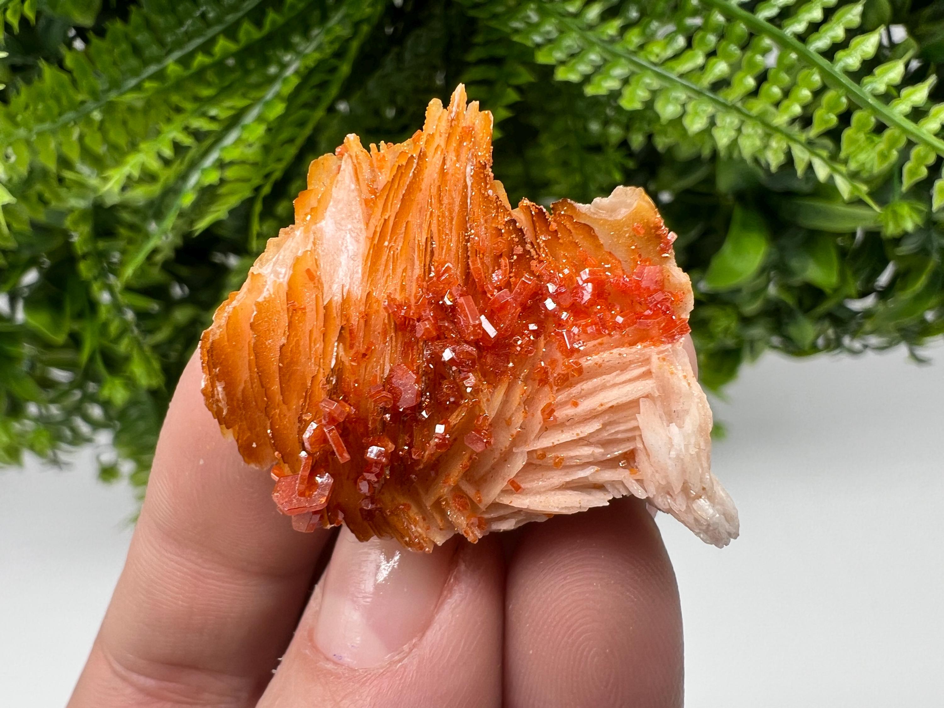 Red Vanadinite on Barite from Marocco,crystal minerals Speciment cluster Vanadinite crystal Vanadinite Geology Vanadinite cluster minerals