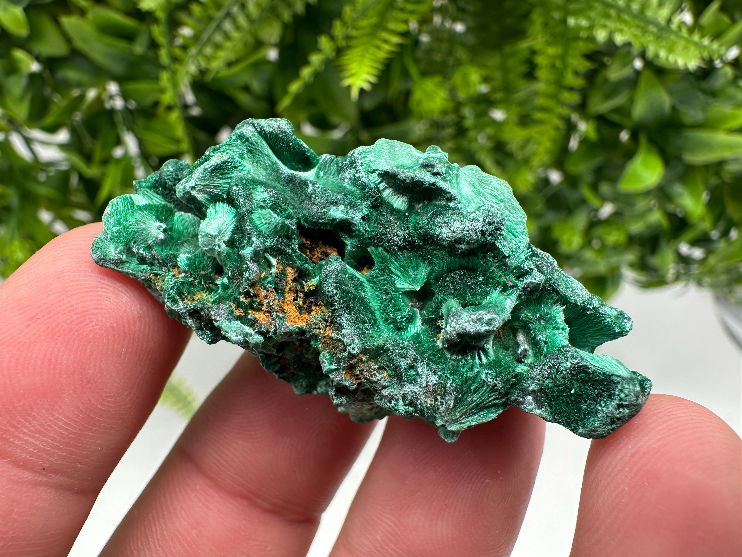 Malachite Crystal from Congo,Minerals,Crystals from Congo,Green Malachite, Malachite,Natural Malachite,Malachite Stone,Chakra, Specimens