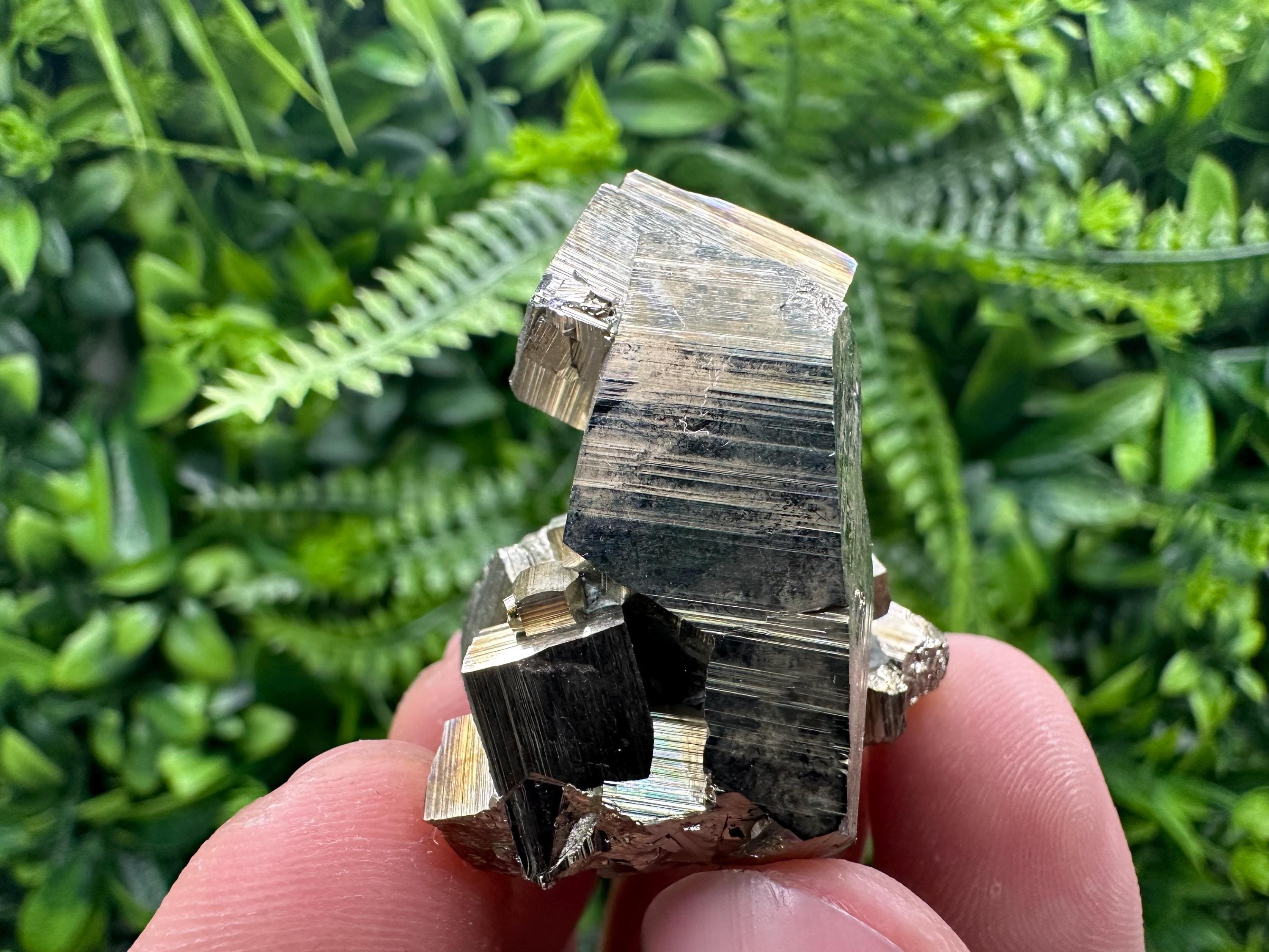 Rare Floating Pyrite Cluster - Borieva Mine - Home Decor Crystal