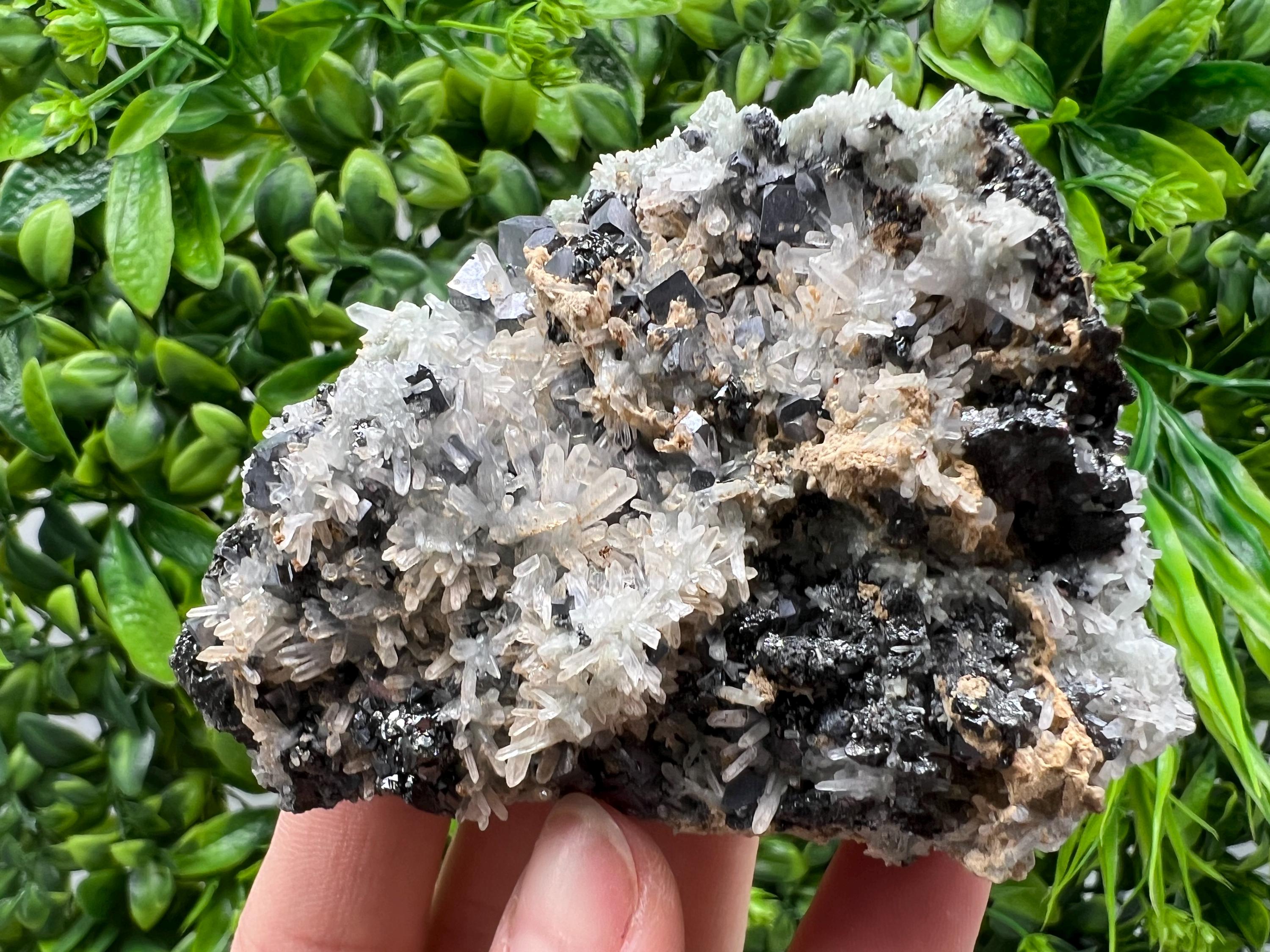 Aesthetic Natural shiny Galena whit Siderite and Quartz from 9 th September mine,Bulgaria,collection specimen,rare galena,Galena cluster