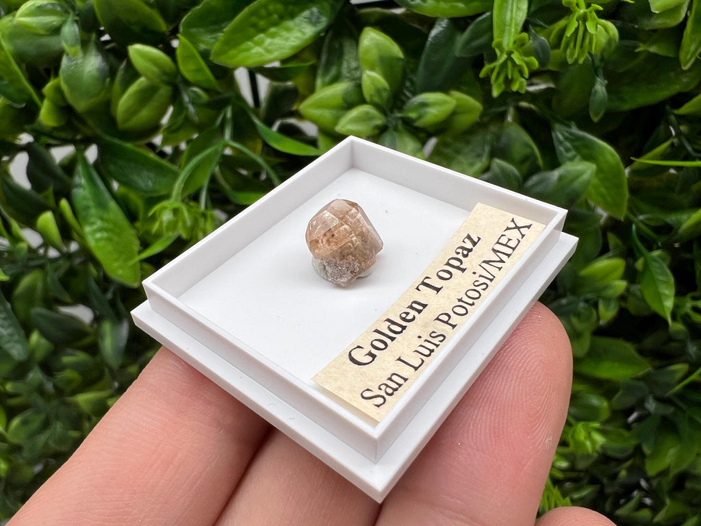 Beautiful Golden Topaz from Mexico,collection piece Crystal,Mineral,collectibles,Collectors, Natural Crystal, Minerals from Mexico,original,