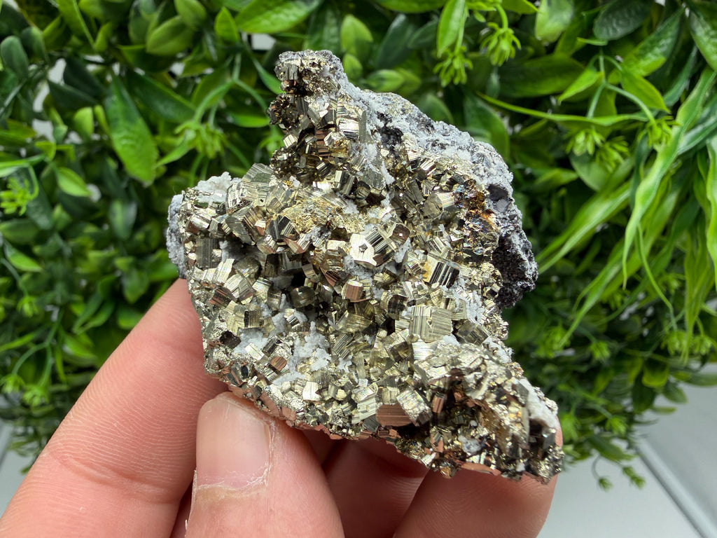 Pyrite Sphalerite Quartz  Mineral Specimen, Krushev dol Mine