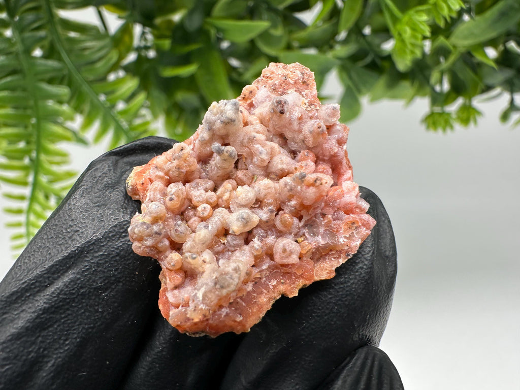 Stunning Red Chalcedony from Morocco,Morocco Minerals,Crystals,rare red Chalcedony,Red Crystal,Mineral Specimen,red minerals,souvenir gift