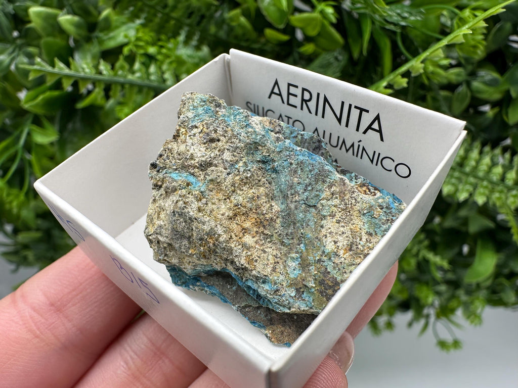 Rare Raw Aerinite Mineral Specimen: Lleida, Spain Crystal