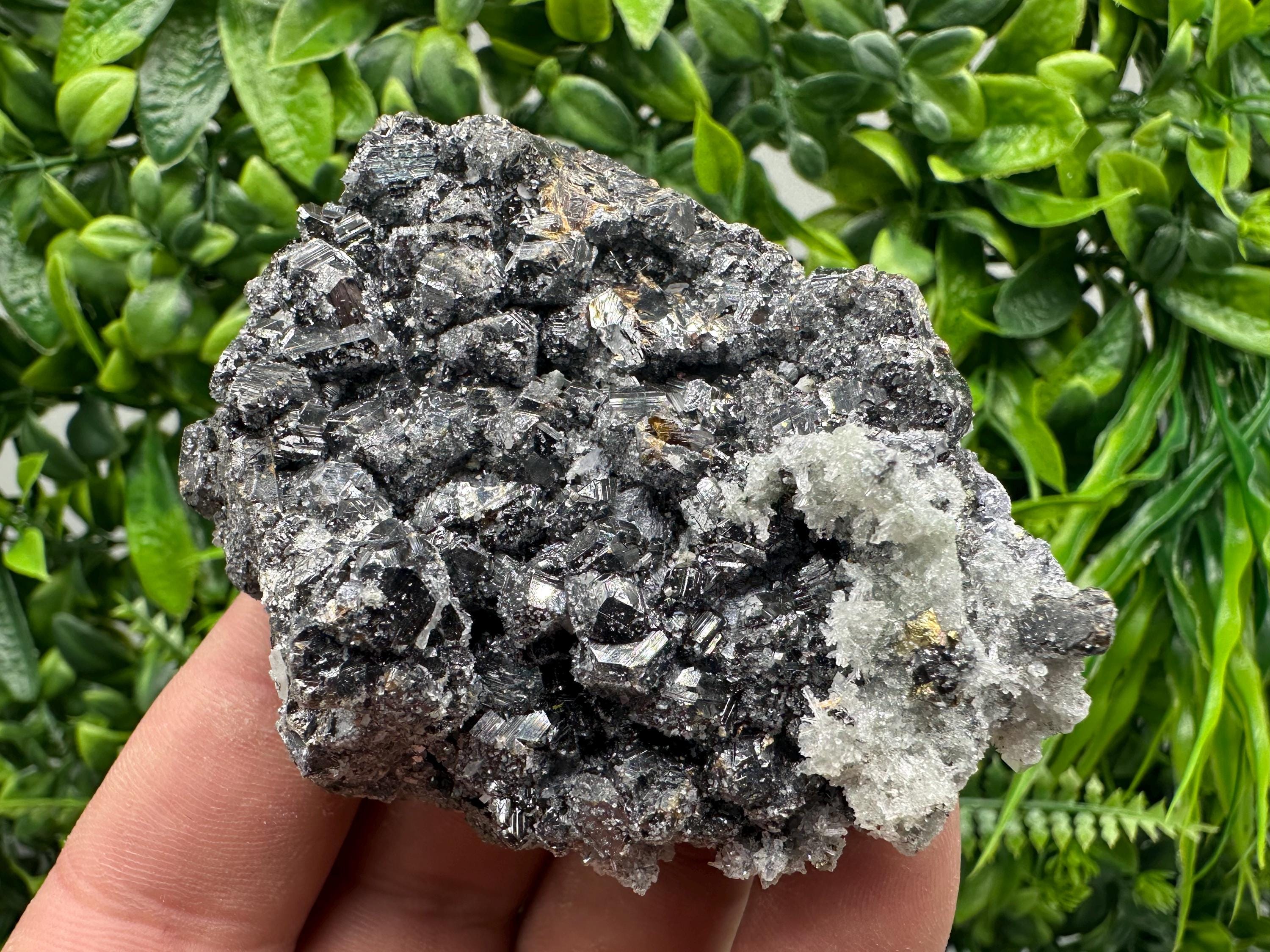 Sphalerite on Green Quartz, Madan Bulgaria, Mineral Specimen