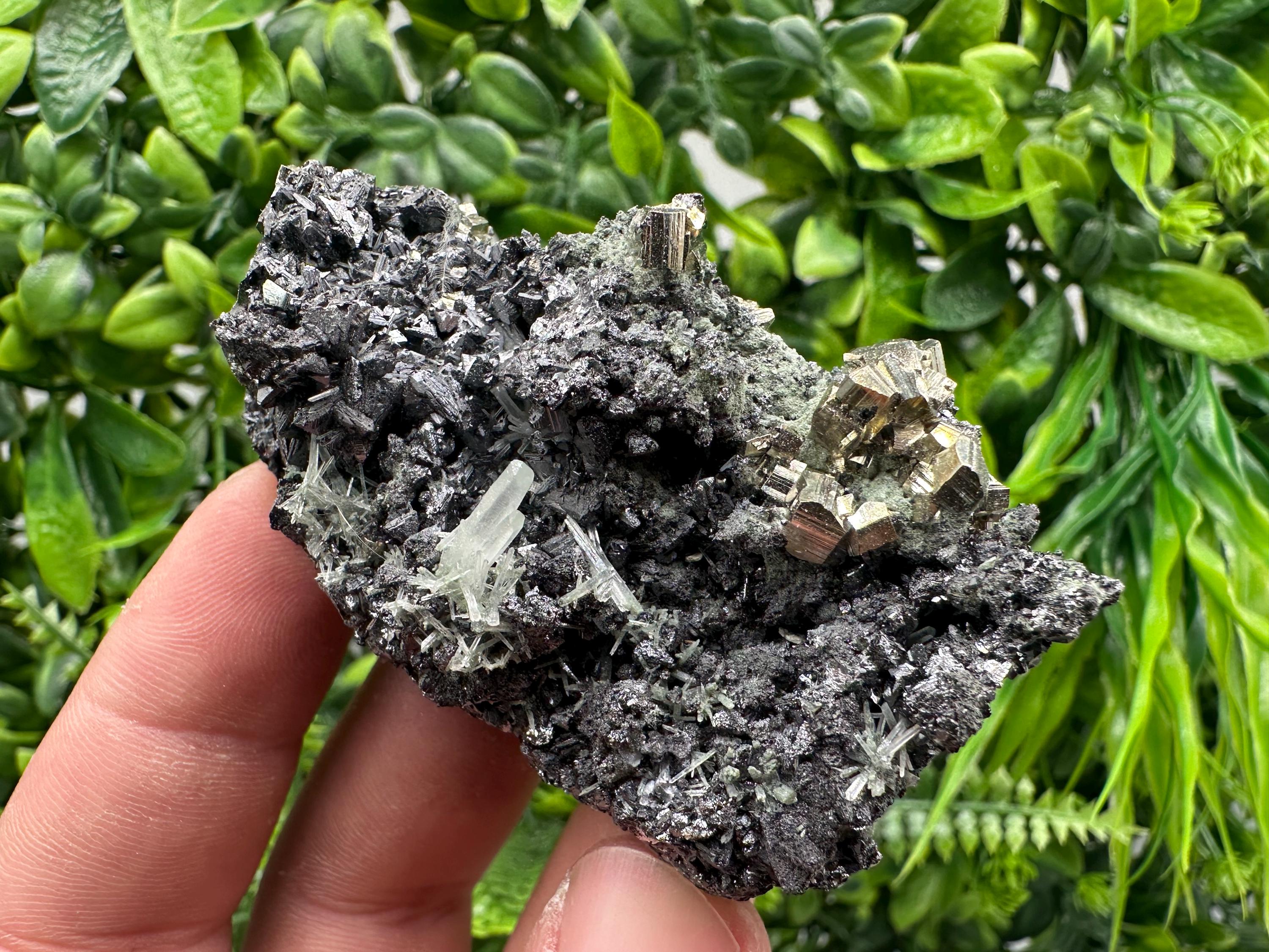 Pyrite on Sphalerite with Quartz, Borieva Mine Mineral Specimen