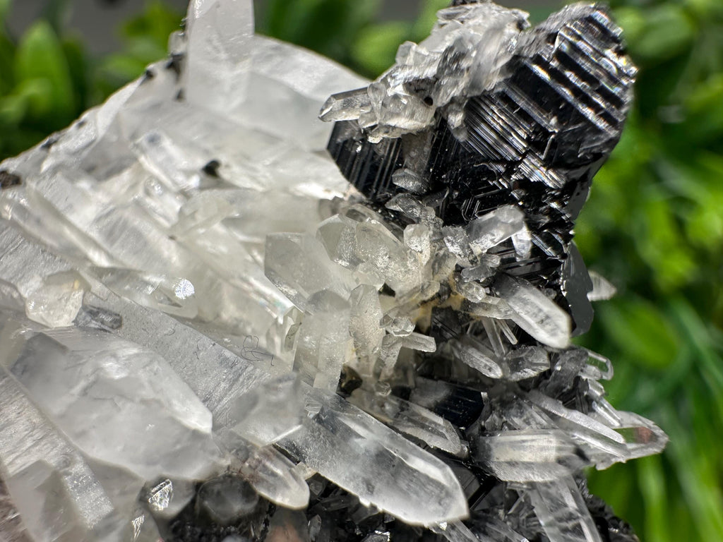 Wonderful Sphalerite Chalcopyrite on  Quartz whit Galena feom 9 th September mine,Bulgaria,natural,collection mineral specimen,gift
