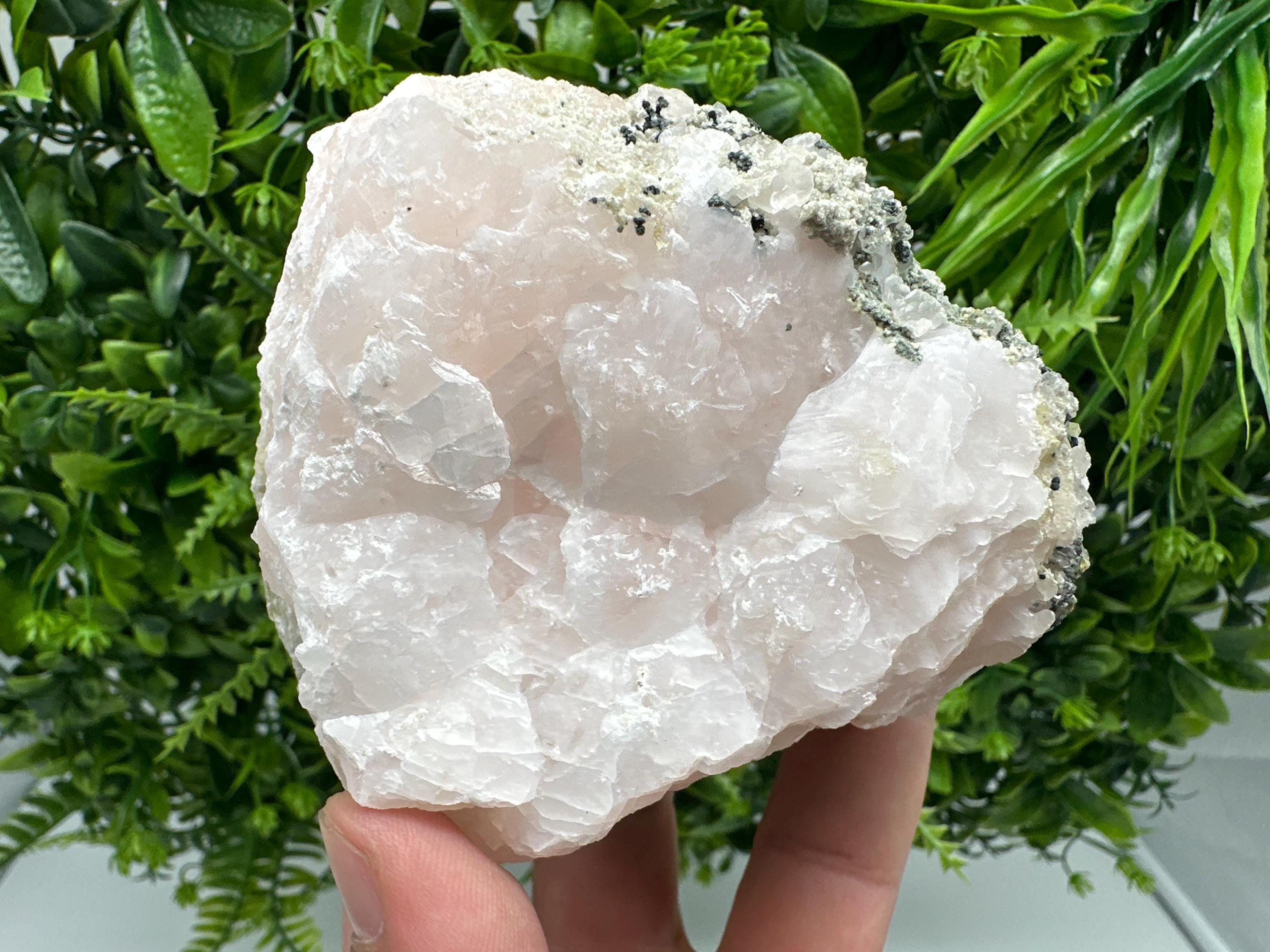 UV Mangano Calcite: Borieva Mine, Bulgaria Crystal Decor