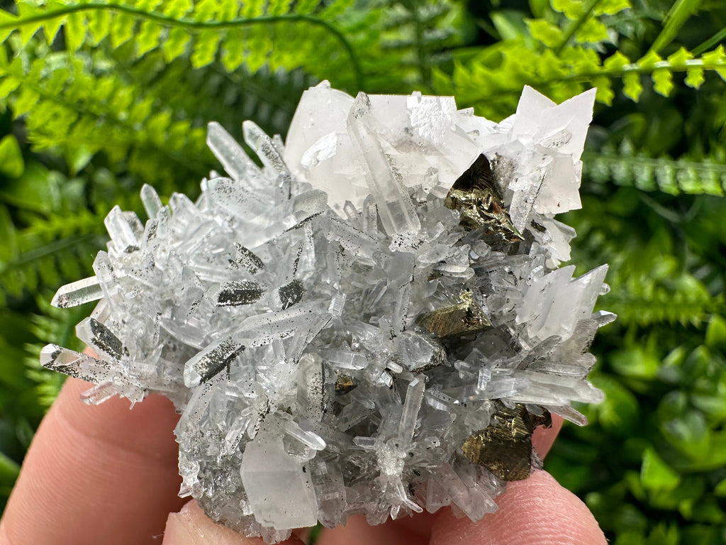 Chalcopyrite & Calcite on Quartz: Borieva Mine, Bulgaria