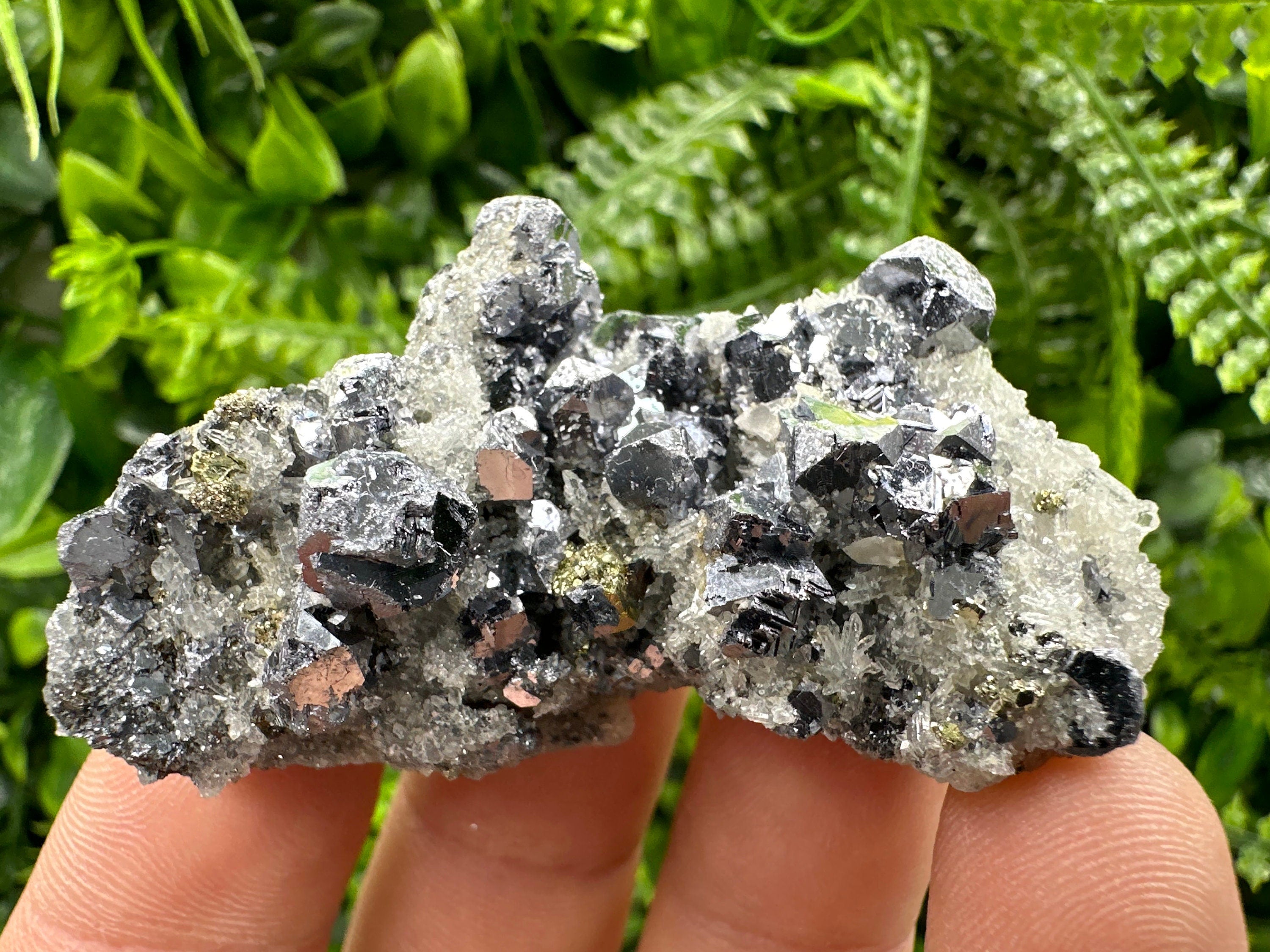 Galena Chalcopyrite on Quartz: Crystal Home Decor, Borieva Mine