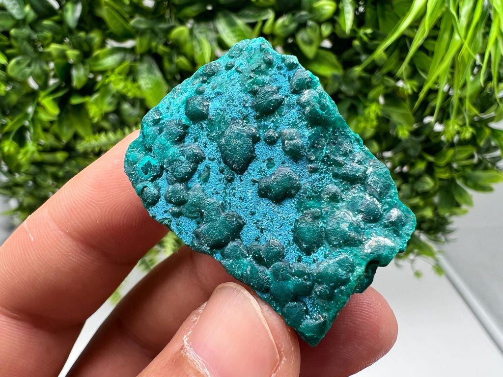Stunning Green Dioptase from Sanda Hills,Mindouli,Pool Department,Mindouli District,Congo,green Dioptase,Dioptas Crystal,Dioptase collecting