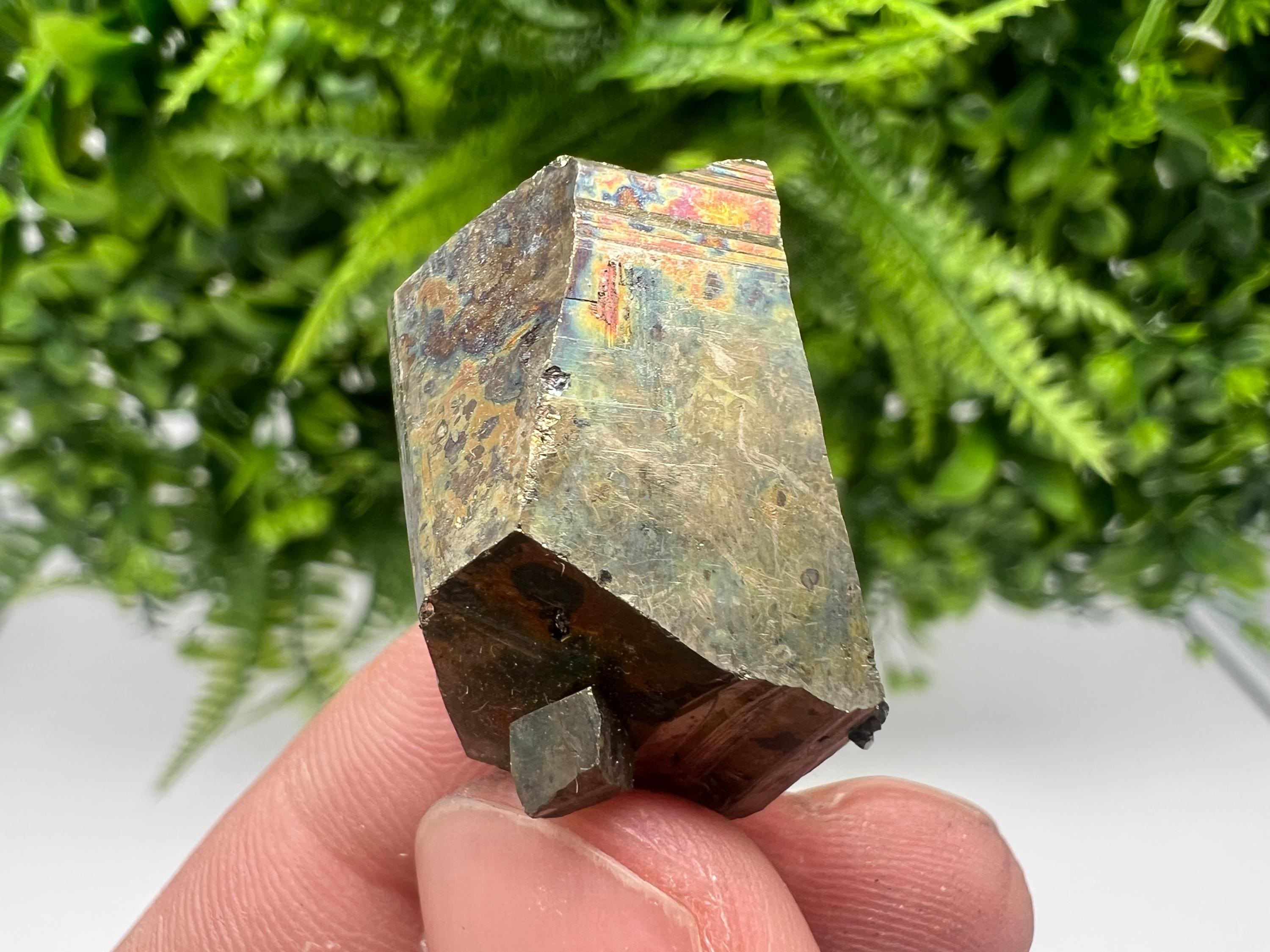 Mini Rare crystallisation Pyrite,Borieva mine,Bulgaria,floating Pyrite,golden Pyrite,Pyrite cluster,mini Collection specimen,Rainbow Pyrite