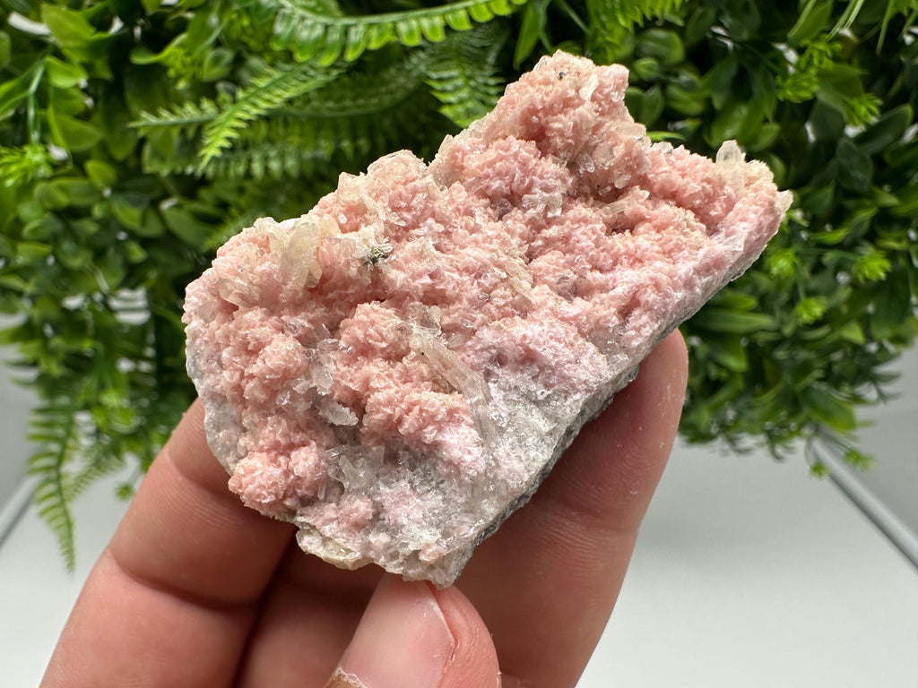 One beautiful cabinet size specimen of rhodochrosite, overgrowth by well-terminated quartz crystals Starnica mine Davidcovo area Bulgaria