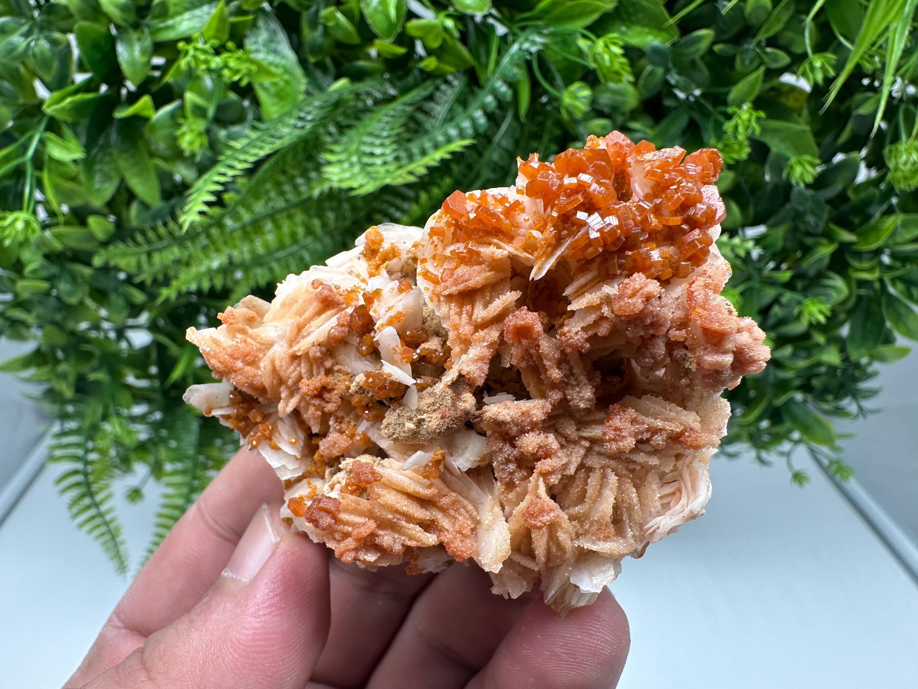 Red Vanadinite on Barite from Marocco,crystal minerals Speciment cluster Vanadinite crystal Vanadinite Geology Vanadinite cluster minerals