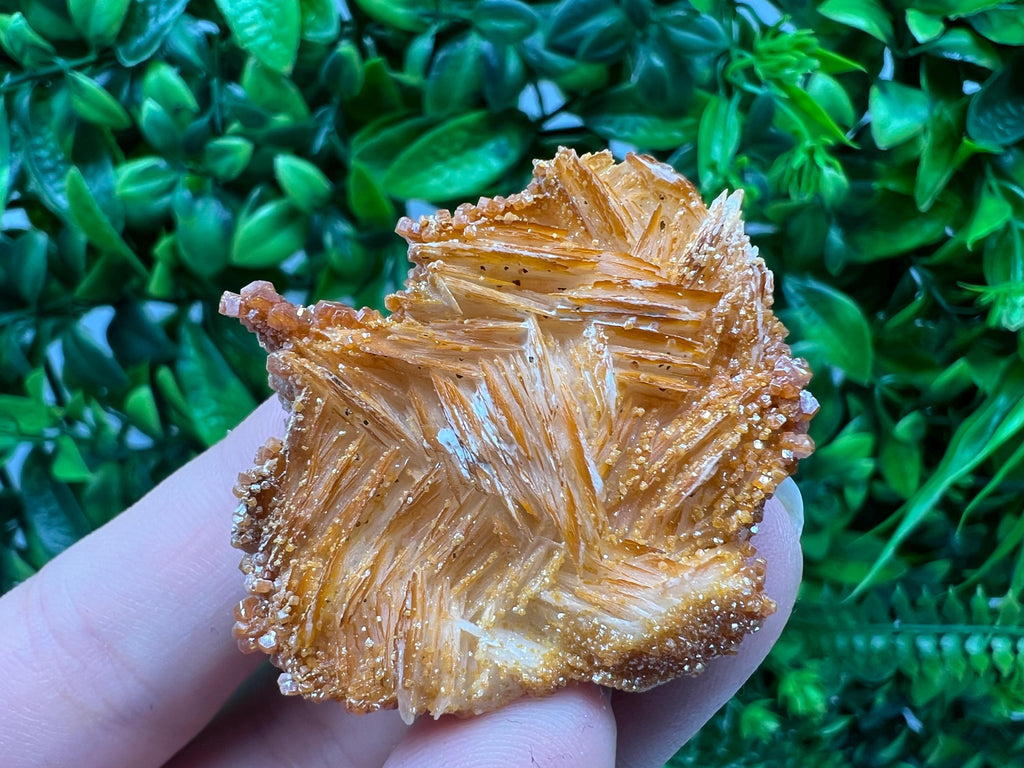 Red Vanadinite on Barite from Marocco,crystal minerals Speciment cluster Vanadinite crystal Vanadinite Geology Vanadinite cluster minerals