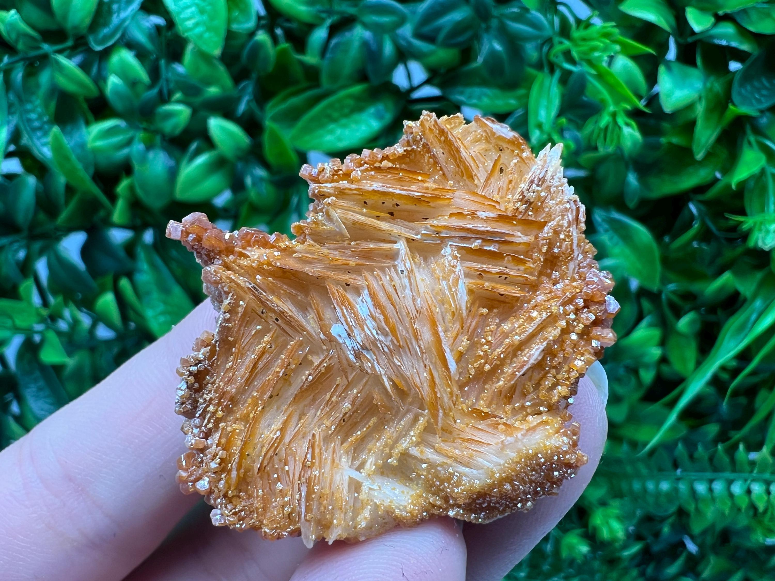 Red Vanadinite on Barite from Marocco,crystal minerals Speciment cluster Vanadinite crystal Vanadinite Geology Vanadinite cluster minerals