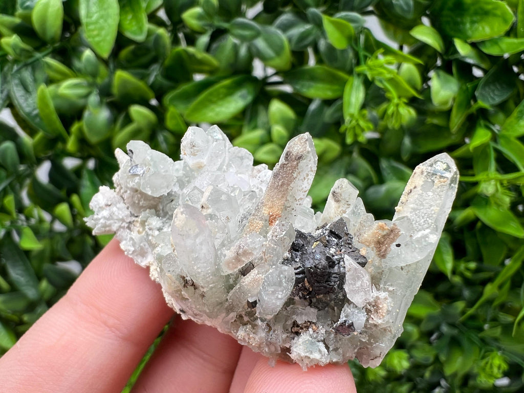 Transparent Quartz,Chlorite,Chalcopyrite Matrix,From Borieva mine,Madan,Bulgaria,Quartz,Quartz crystal,mineral specimen,collection quartz