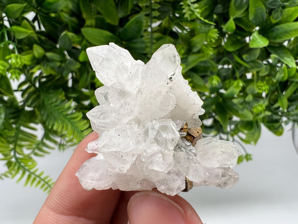 Transparent Quartz whit Rainbow Pyrite Djurcovo Laki Bulgaria natural minerals souvenir crystal stone gift minerals collection rock