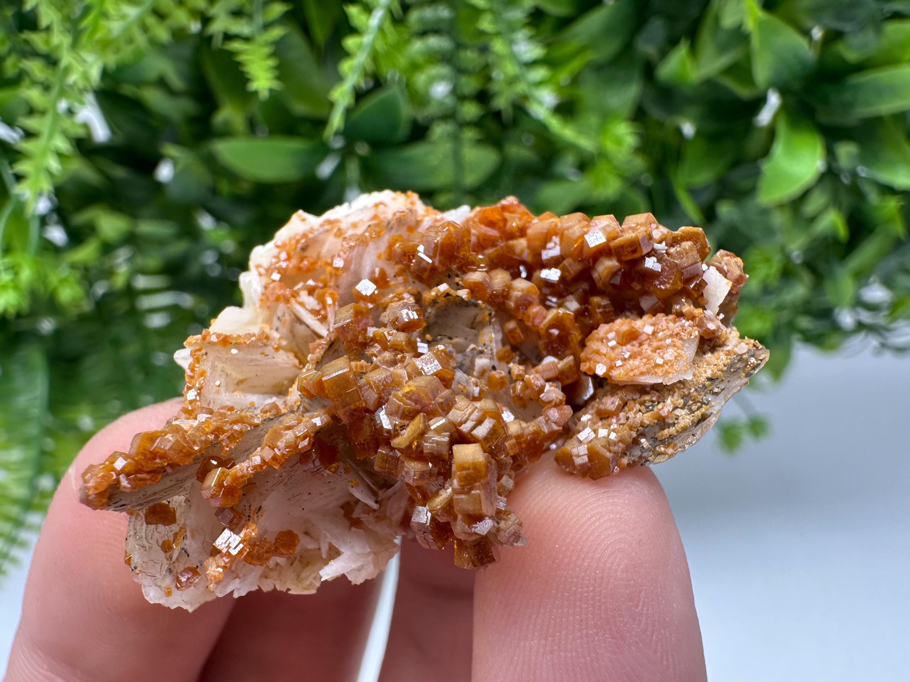 Red Vanadinite on Barite from Marocco,crystal minerals Speciment cluster Vanadinite crystal Vanadinite Geology Vanadinite cluster minerals