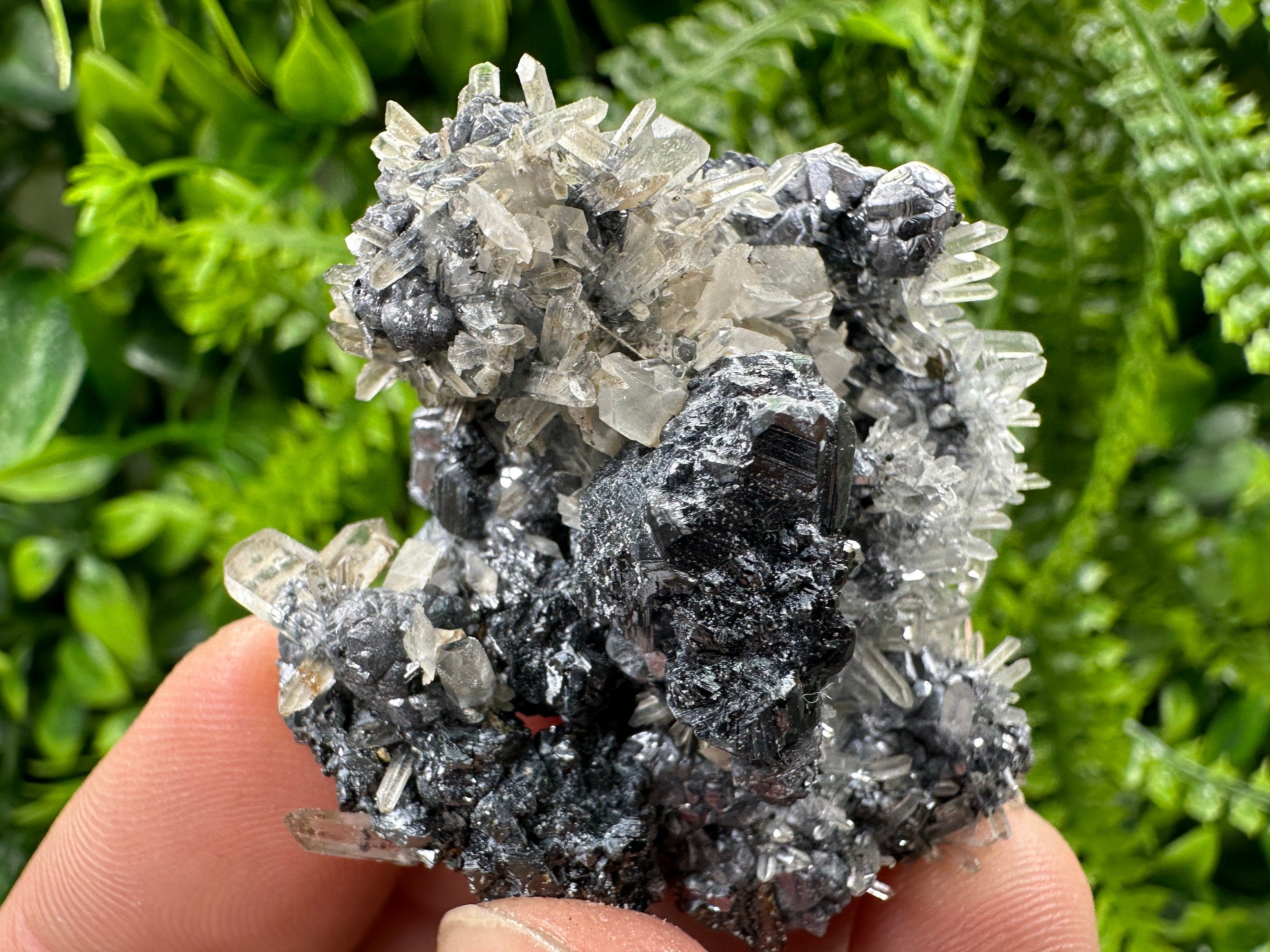Sphalerite Quartz on Galena Mineral Specimen, Bulgaria