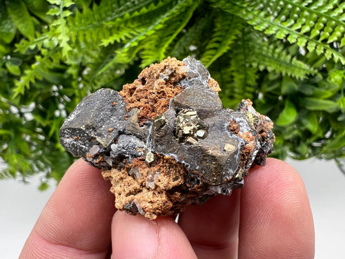 Chalcopyrite with Hematite on Siderite, Bulgaria Mineral Specimen