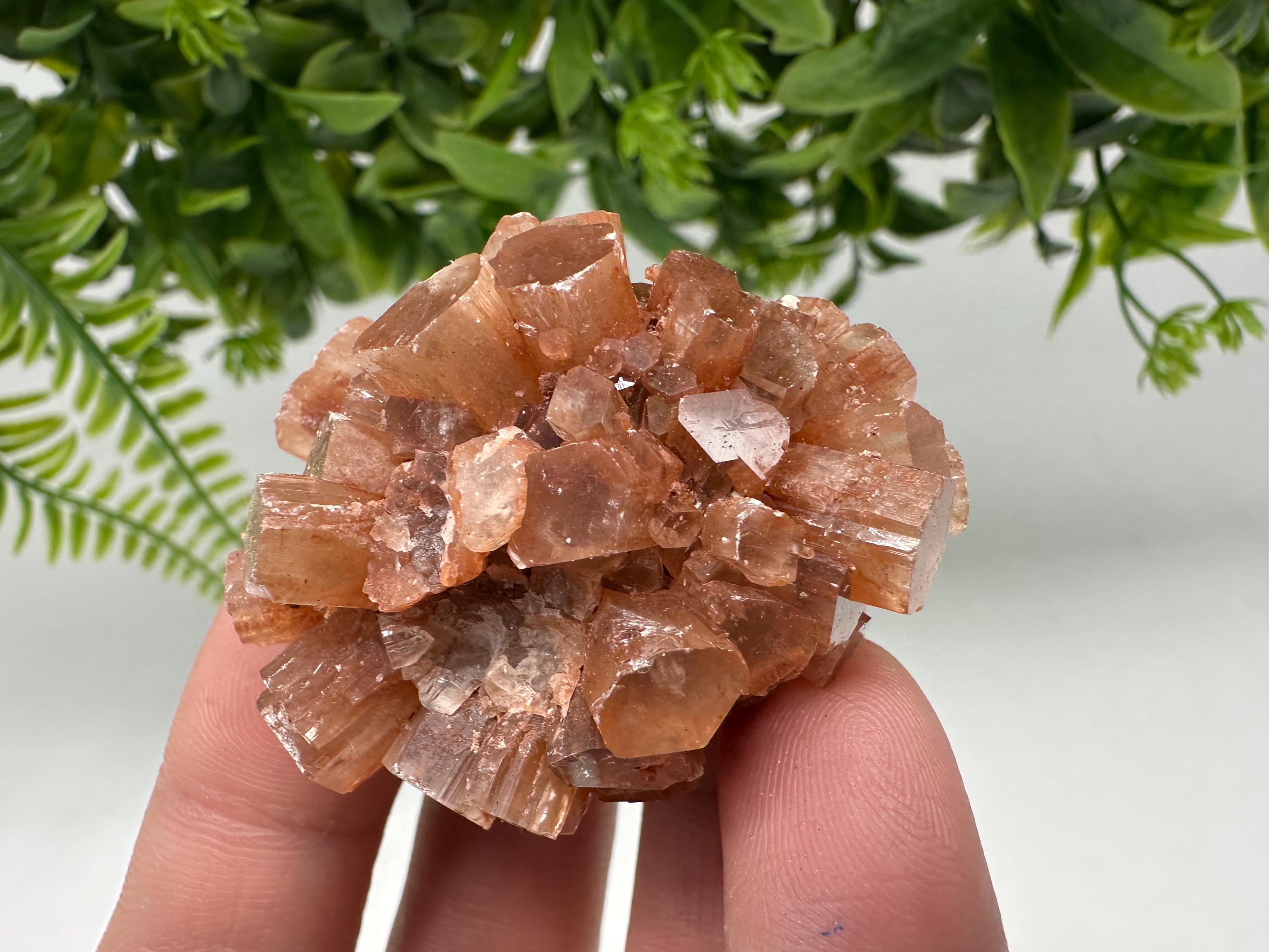 Aragonite Sputnik Cluster: Raw Moroccan Crystal Stone, Home Decor