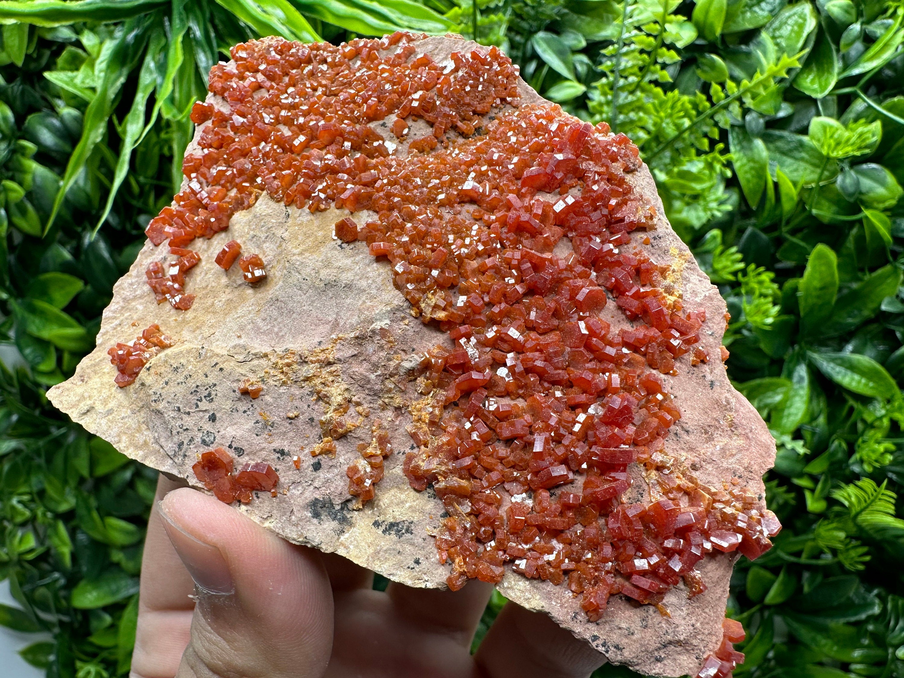 Red Vanadinite Crystal Cluster on Matrix, Morocco Mineral Specimen