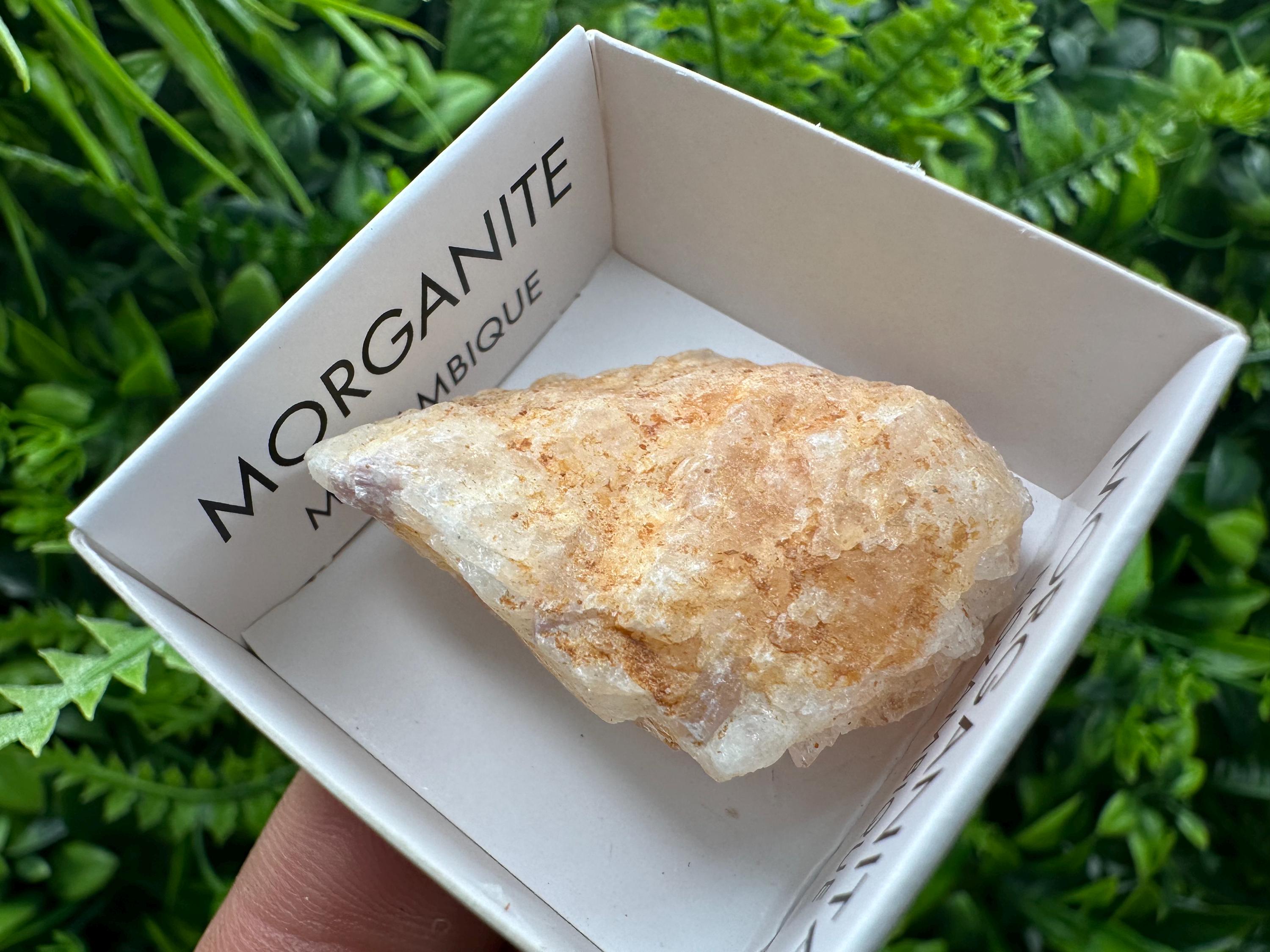Rare Raw Morganite Specimen: Mozambique Crystal (3.5/3cm)