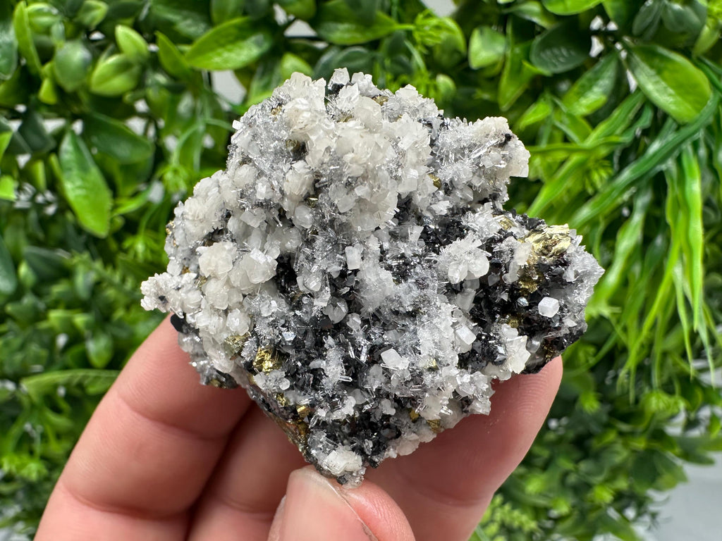 Wonderful Chalcopyrite Galena on Quartz whit Chlorite natural minerals souvenir crystal gift home decor stone Borieva mine Madan Bulgaria