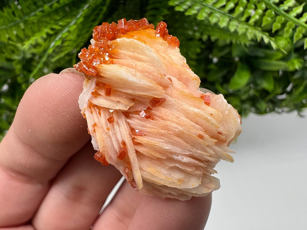 Red Vanadinite on Barite, Morocco Crystal Specimen