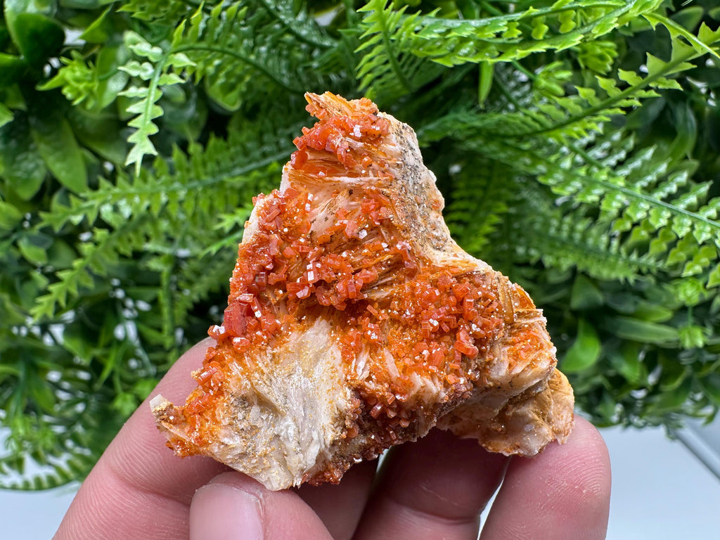 Red Vanadinite Crystal Cluster on Matrix, Morocco Mineral Specimen