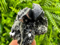 Galena on Quartz: Natural Mineral Specimen, Borieva Mine
