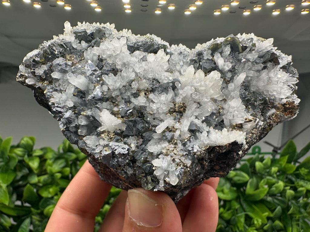 Rare Galena, Sphalerite, Pyrite Mineral Specimen: Krushev Dol Mine, Bulgaria