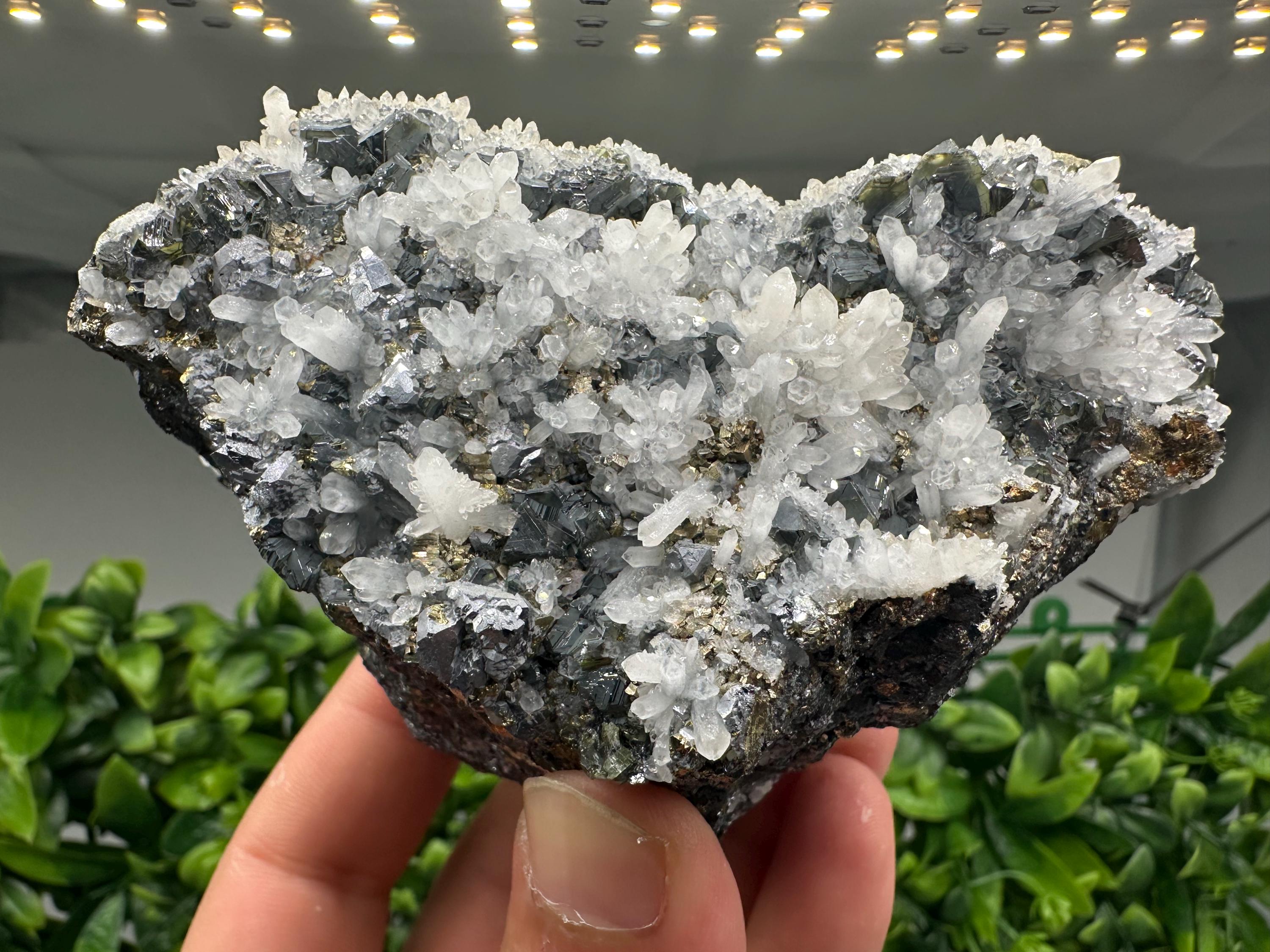 Rare Galena, Sphalerite, Pyrite Mineral Specimen: Krushev Dol Mine, Bulgaria