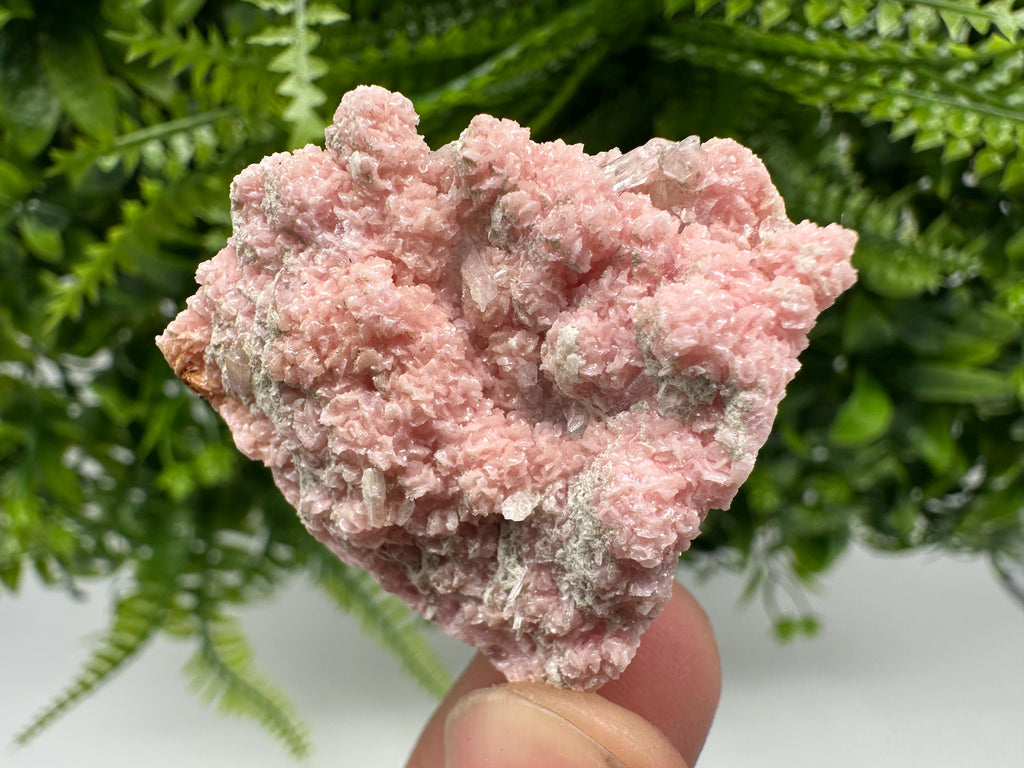 Rhodochrosite on Quartz, Starnica Mine, Bulgaria