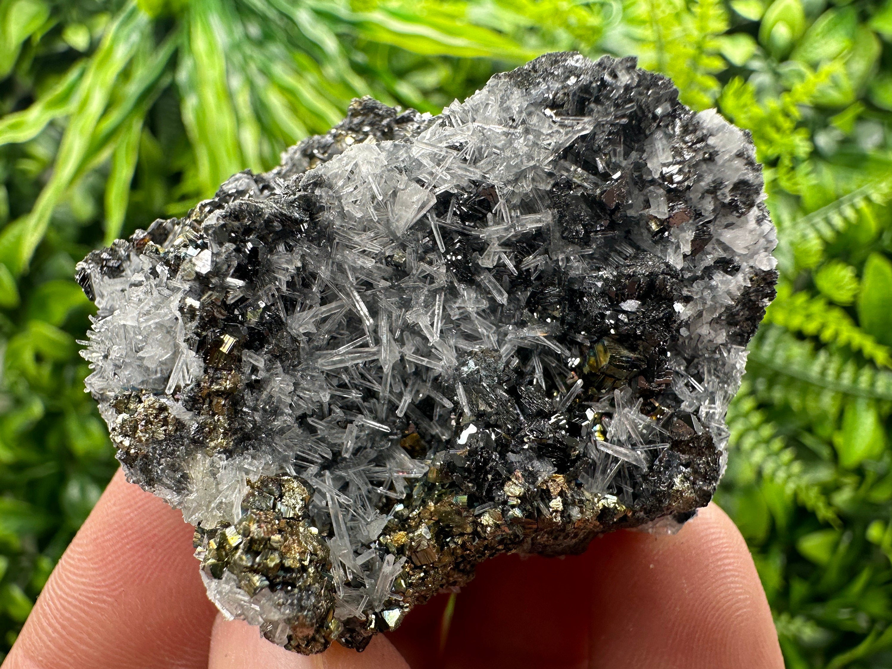 Rainbow Pyrite, Sphalerite on Quartz: Natural Crystal Souvenir