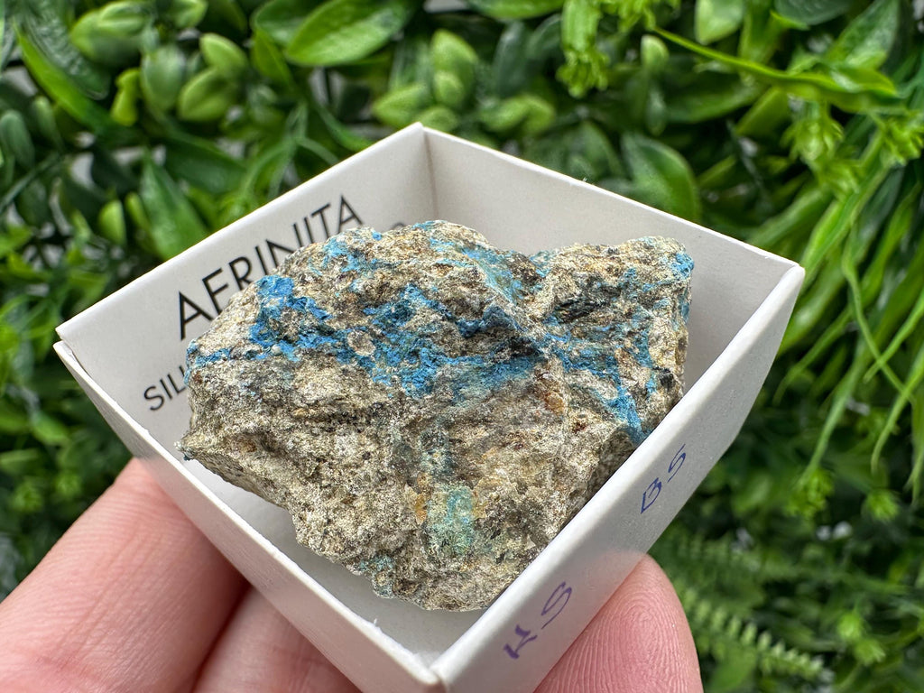 Rare Raw Aerinite Mineral Specimen: Lleida, Spain Crystal