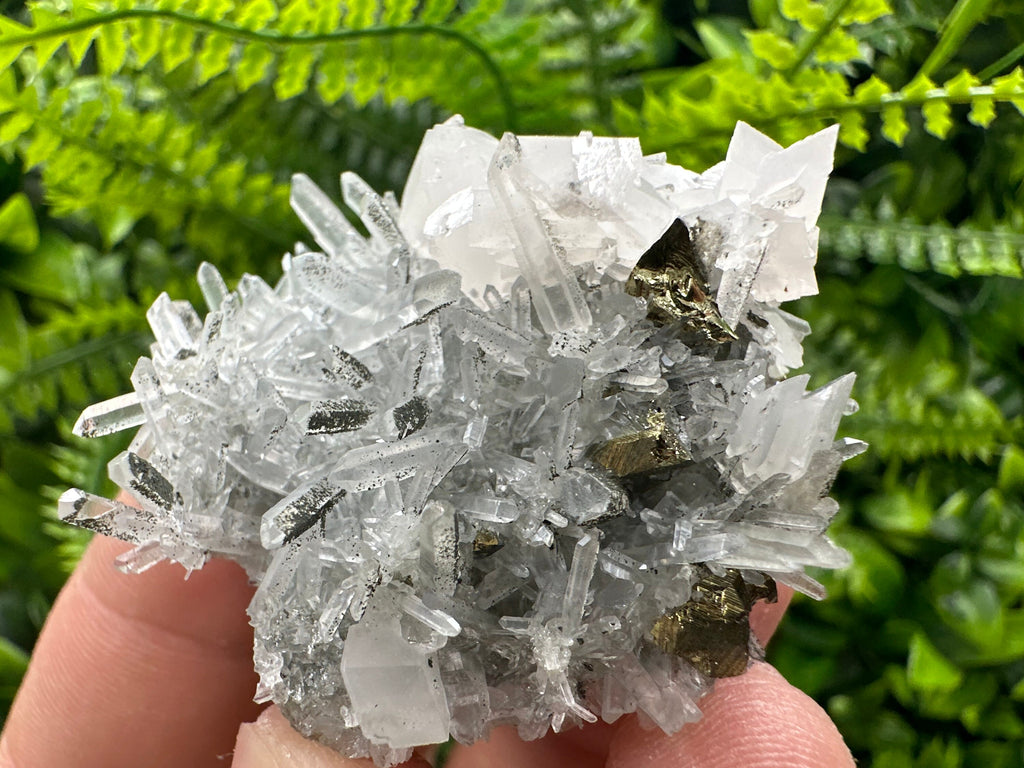 Chalcopyrite & Calcite on Quartz: Borieva Mine, Bulgaria