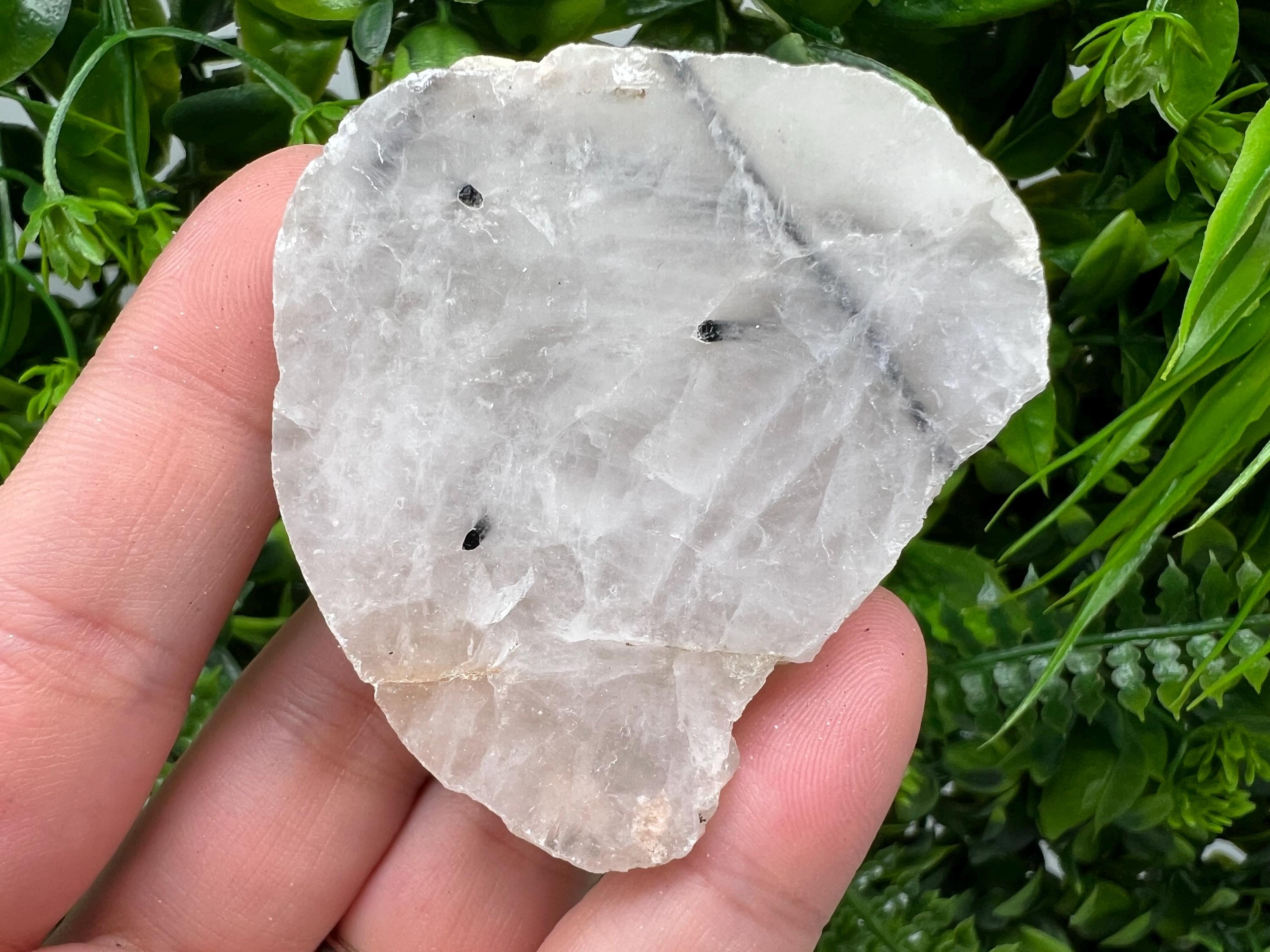 Quartz with Black Tourmaline Polished Slab: Crystal Slice
