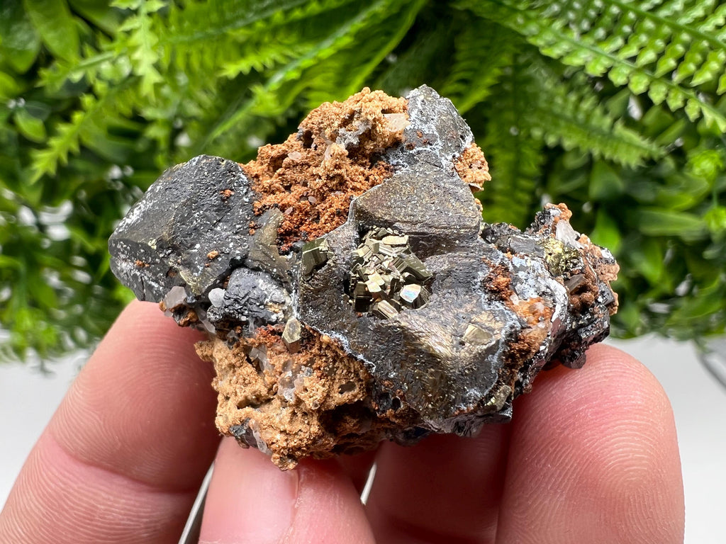 Chalcopyrite with Hematite on Siderite, Bulgaria Mineral Specimen