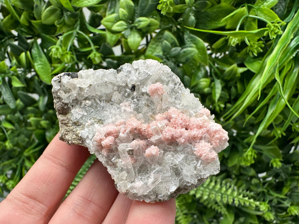 Pink Rhodochrosite Crystal: Starnica Mine, Bulgaria, Home Decor