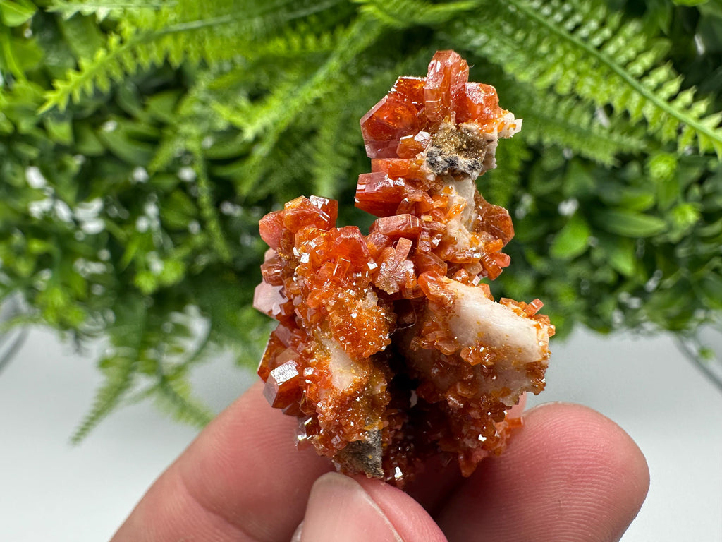 Red Vanadinite on Barite from Marocco,crystal minerals Speciment cluster Vanadinite crystal Vanadinite Geology Vanadinite cluster minerals