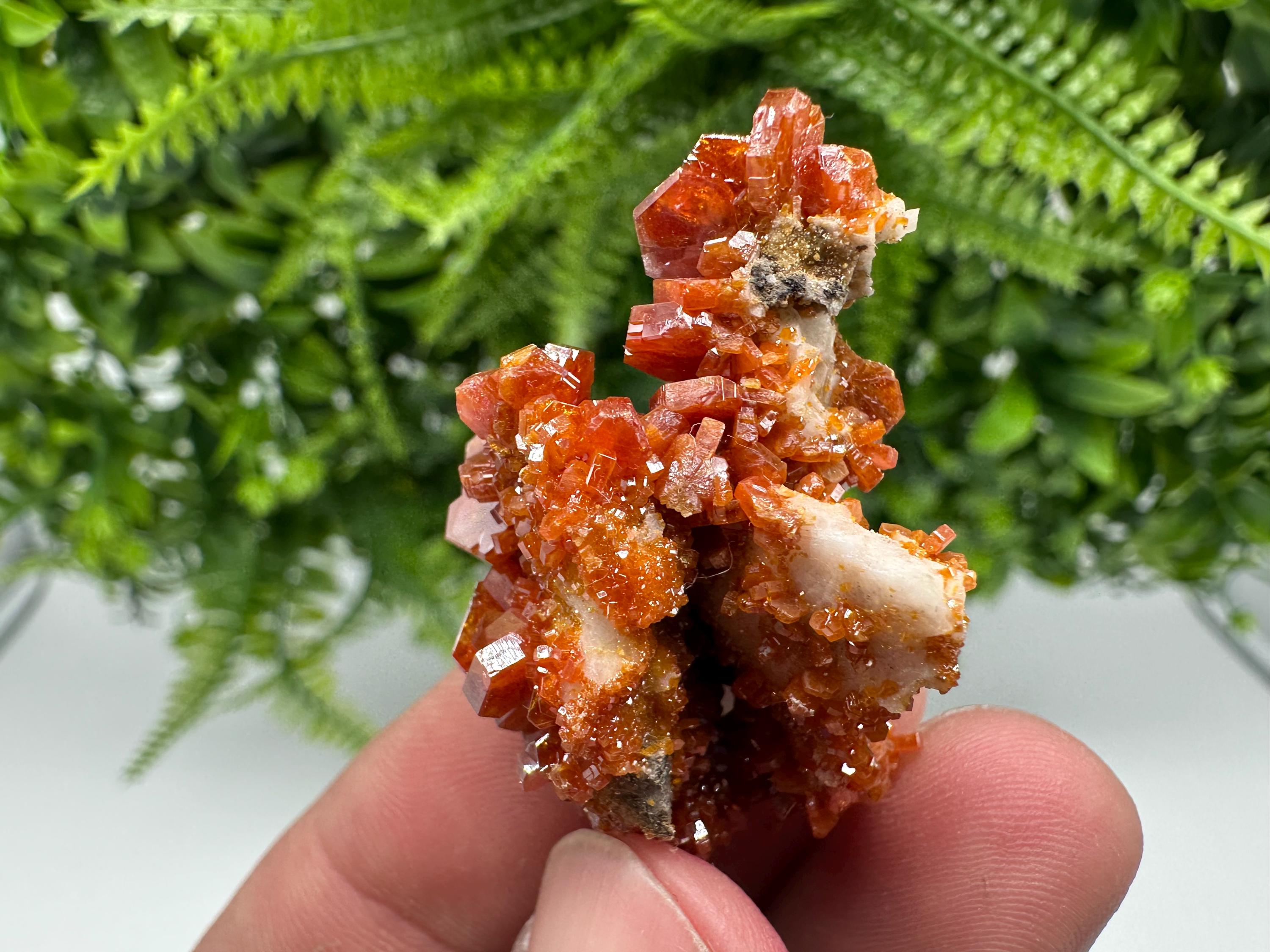 Red Vanadinite on Barite from Marocco,crystal minerals Speciment cluster Vanadinite crystal Vanadinite Geology Vanadinite cluster minerals