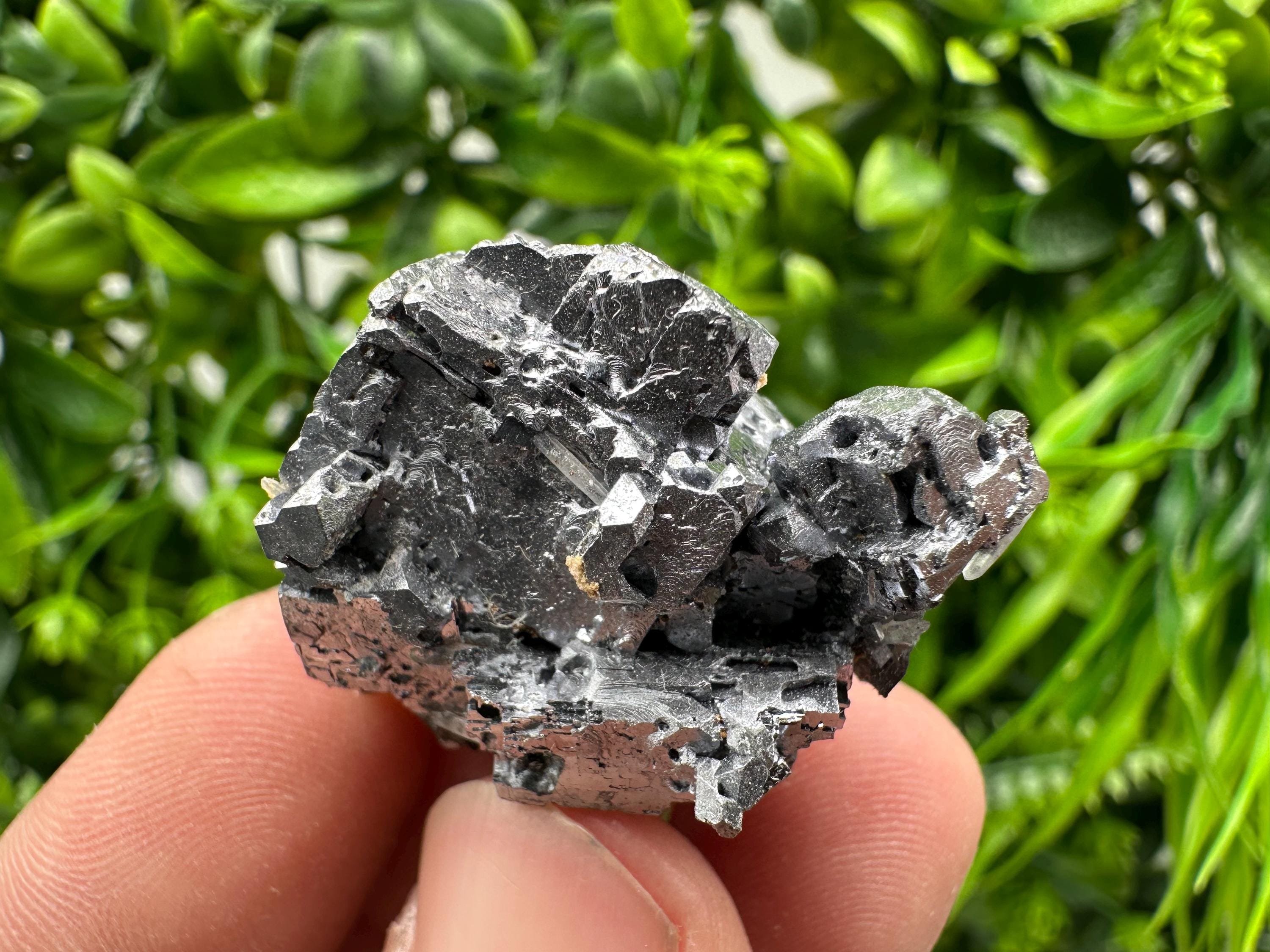 Skeletal Galena on Sphalerite Crystal Mineral Specimen