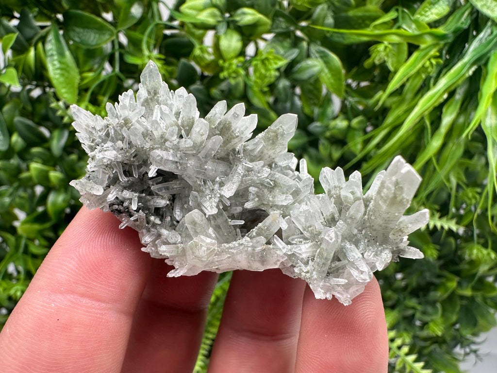 Chlorite Included Green Quartz Crystal Specimen: Madan, Bulgaria