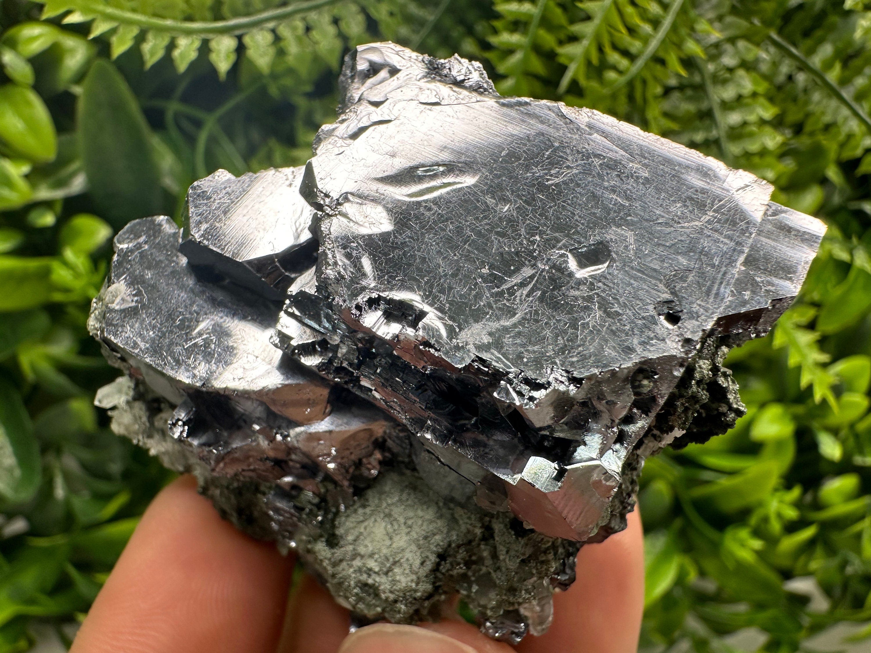 Mirror Galena on Quartz with Chlorite, Borieva Mine, Bulgaria