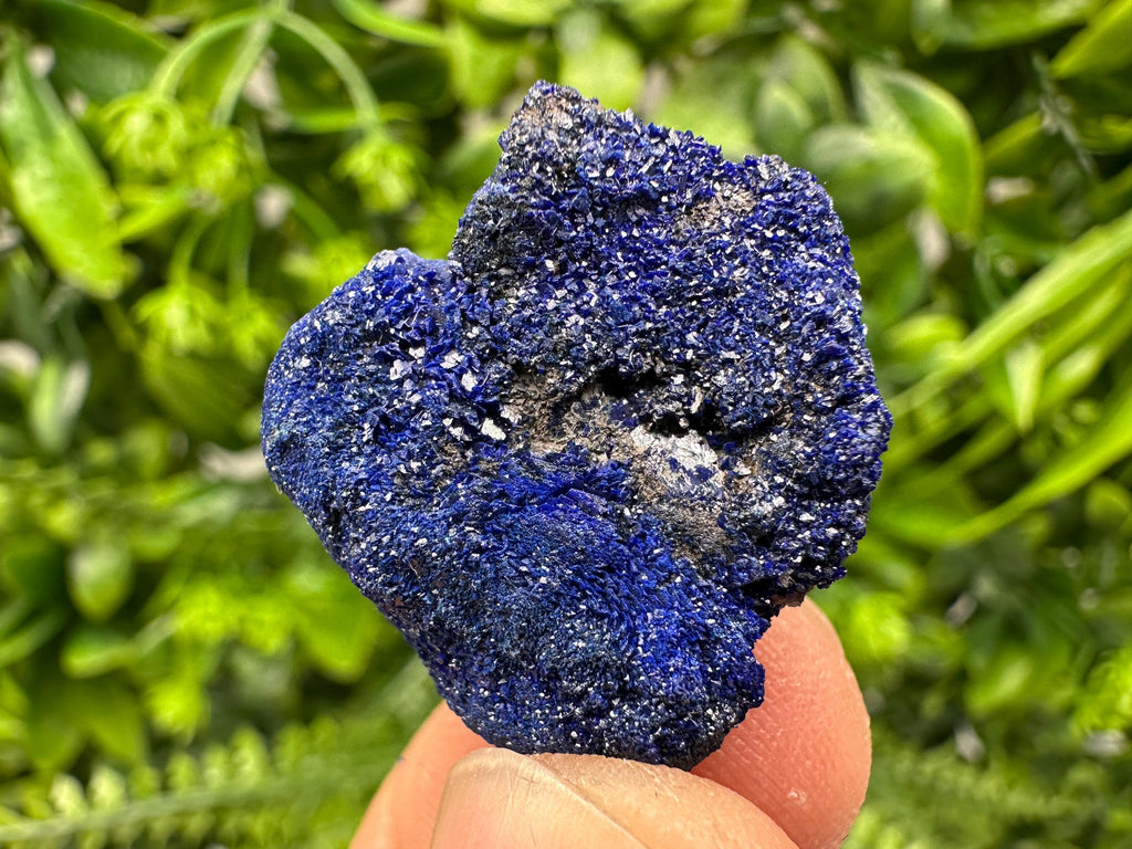 Crystallized Azurite-Kerrouchen,Morocco-Blue Azurite Specimen-High Quality Blue Azurite-Azurite Mineral Specimen, gemmy,lustrous of Azurite