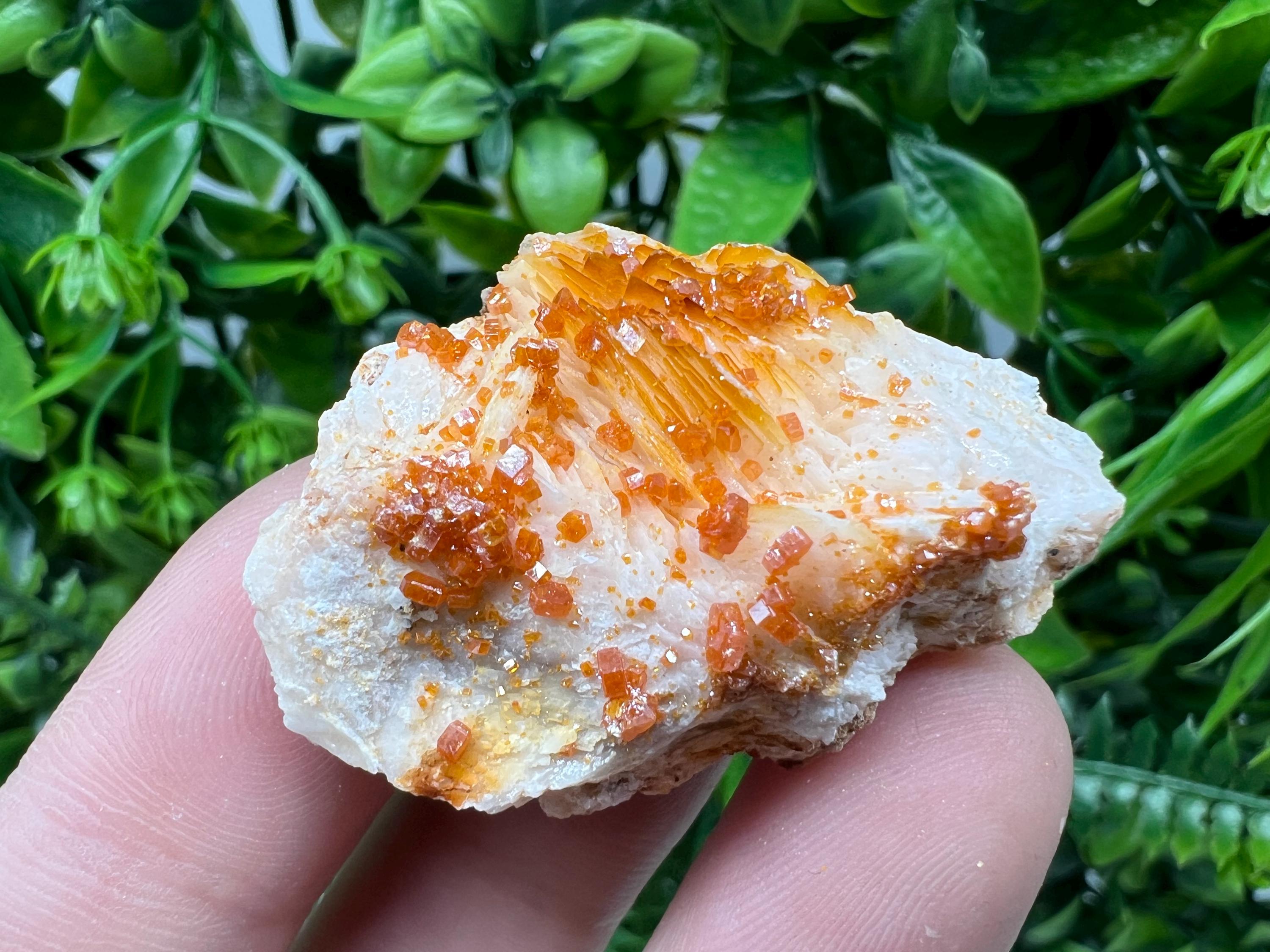 Red Vanadinite on Barite from Marocco,crystal minerals Speciment cluster Vanadinite crystal Vanadinite Geology Vanadinite cluster minerals